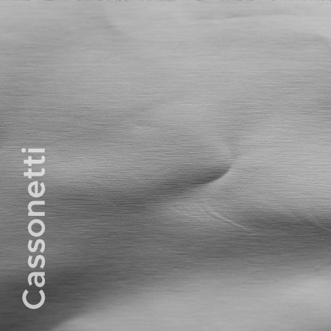 Cassonetti